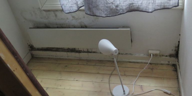 Muggsopp på en studenthybel forårsaket av kondens mellom seng og vegg