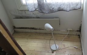 Muggsopp på en studenthybel forårsaket av kondens mellom seng og vegg