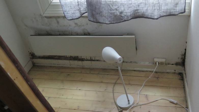 Muggsopp på en studenthybel forårsaket av kondens mellom seng og vegg 