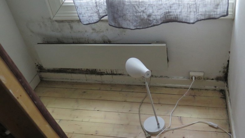 Muggsopp på en studenthybel forårsaket av kondens mellom seng og vegg