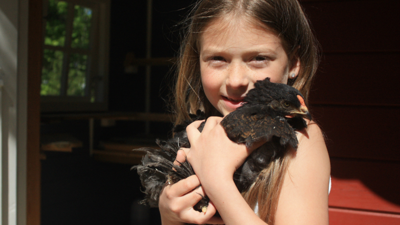 Emmeline holder en høne. 