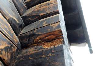 PROBLEMOMRÅDE: Lafteknutene er blant tømmer-husets svakeste punkter i forhold til fukt. 