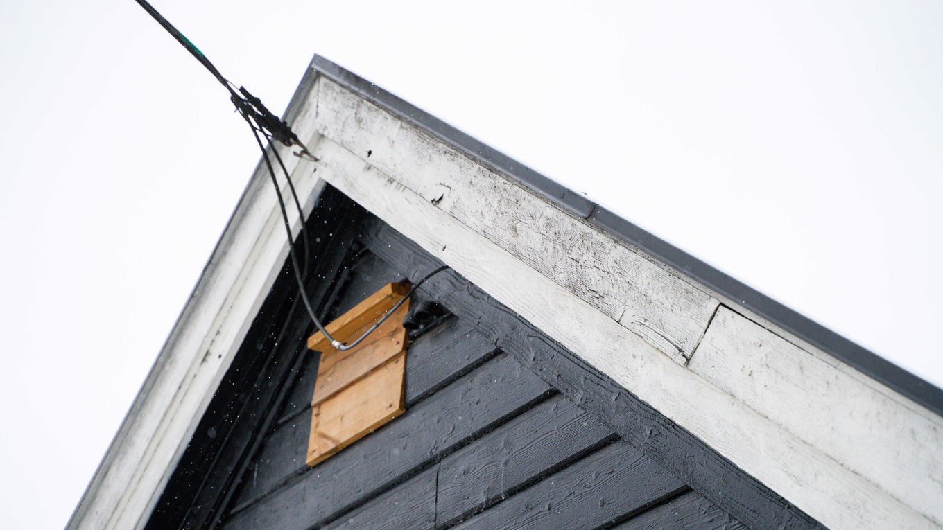 Et takmøn med tydelig svertesopp