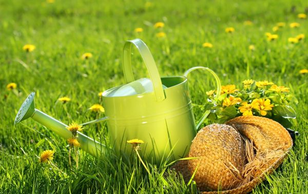 Giftfri hage: Ta noen enkle grep for å unngå kjemikalier i hagen