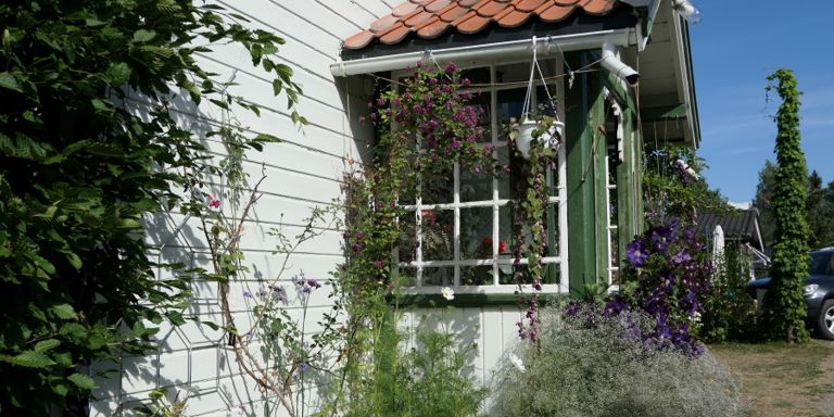 Kitte vinduer: Det er enkelt å kitte gamle vinduer