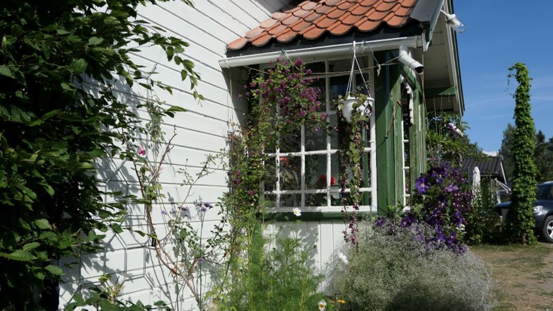 Kitte vinduer: Det er enkelt å kitte gamle vinduer