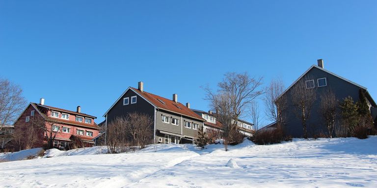BOLIGEIERE: At over 80 prosent av oss bor i en bolig som husholdningen eier, sier mye om hva det norske folk anser som viktig. Foto: Linda Ørstavik Öberg.