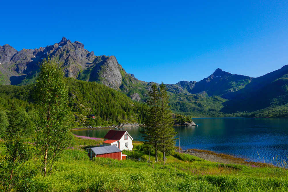 Hvit hytte langs fjorden