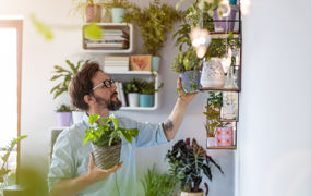 Grønne planter i innemiljøer har vist seg å påvirke menneskers helse og trivsel positivt.