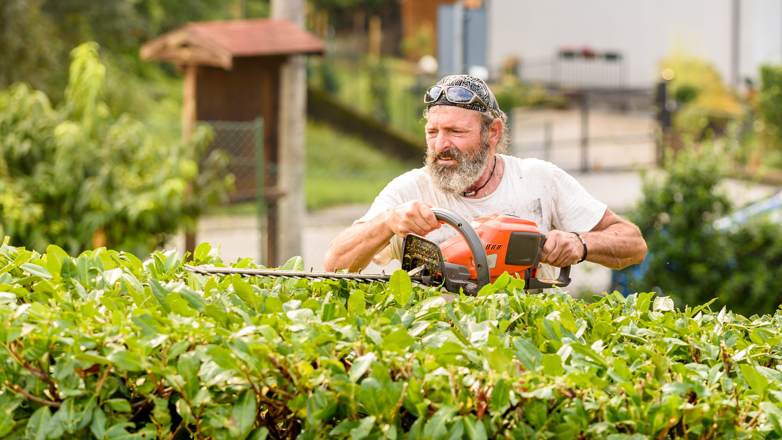 HØYREIST: Mange liker at hekken hindrer innsyn, men husk at man i mange tilfeller også har regler å forholde seg til med tanke på hekkens høyde. Foto: Opplysningskontoret for blomster og planter.