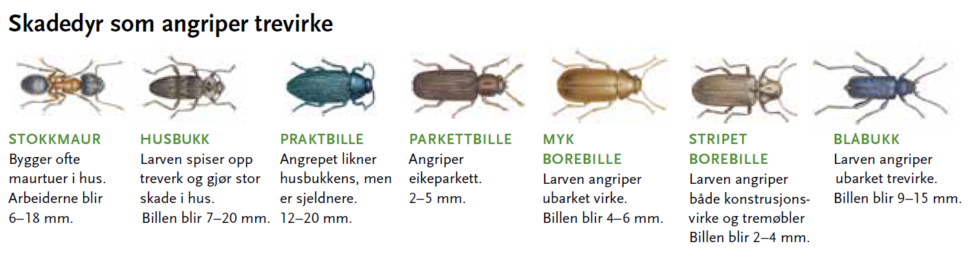 Bille Skadedyr () Bille Skadedyr