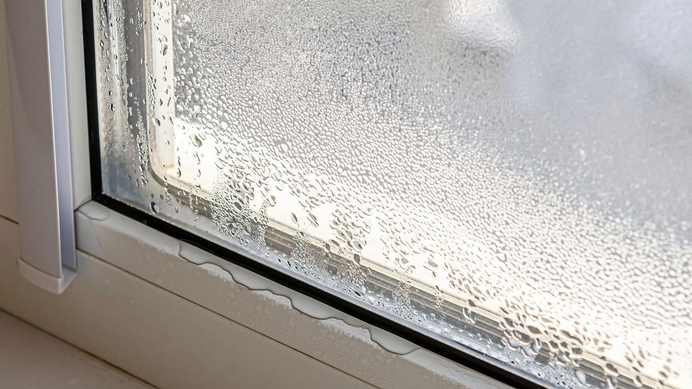 Dugg på vindue og i vinduskarmen