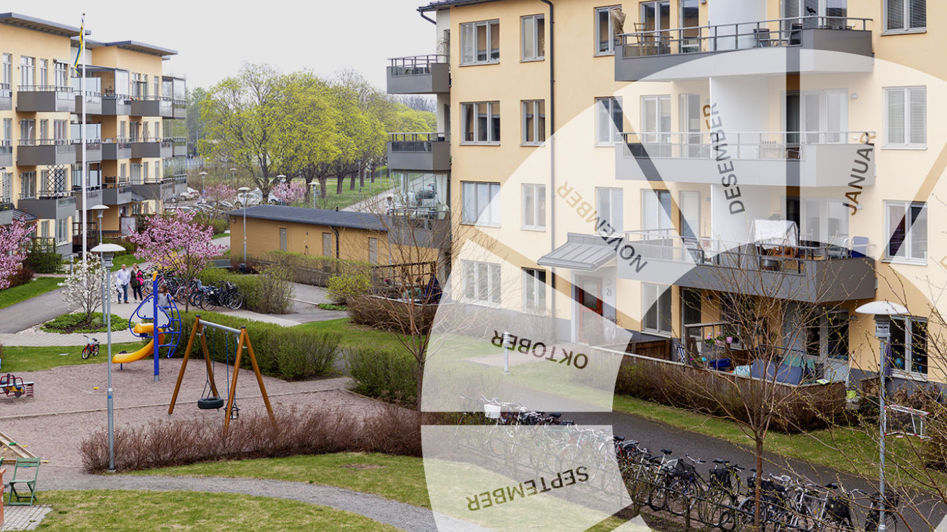 Illustrasjon av sameiets årshjul