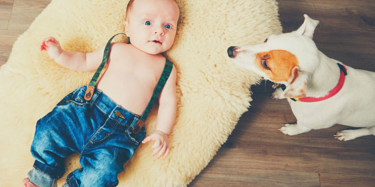 Gulvvarme illustrasjon av baby på teppe og hund