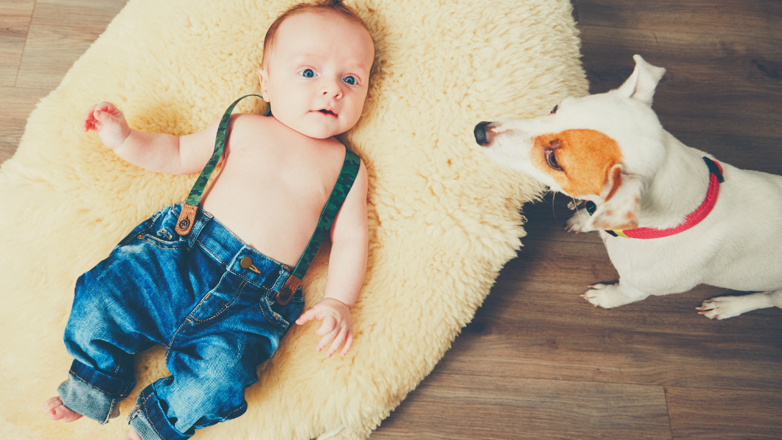 Gulvvarme illustrasjon av baby på teppe og hund 