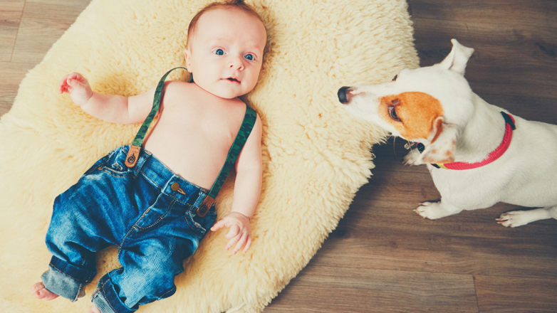 Gulvvarme illustrasjon av baby på teppe og hund