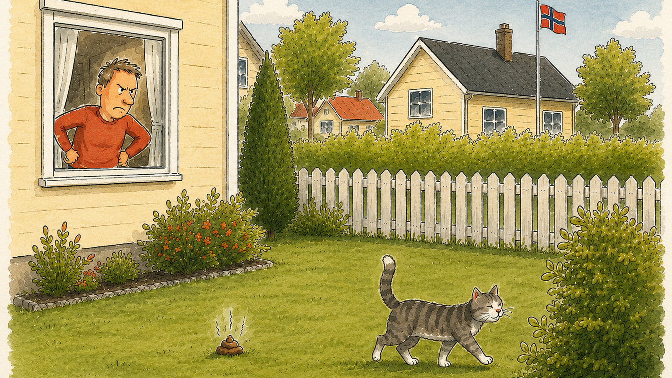 Illustrative