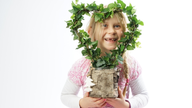 Enkelte grønne planter har spesielt gode luftrensende egenskaper. Eføy er en av dem.