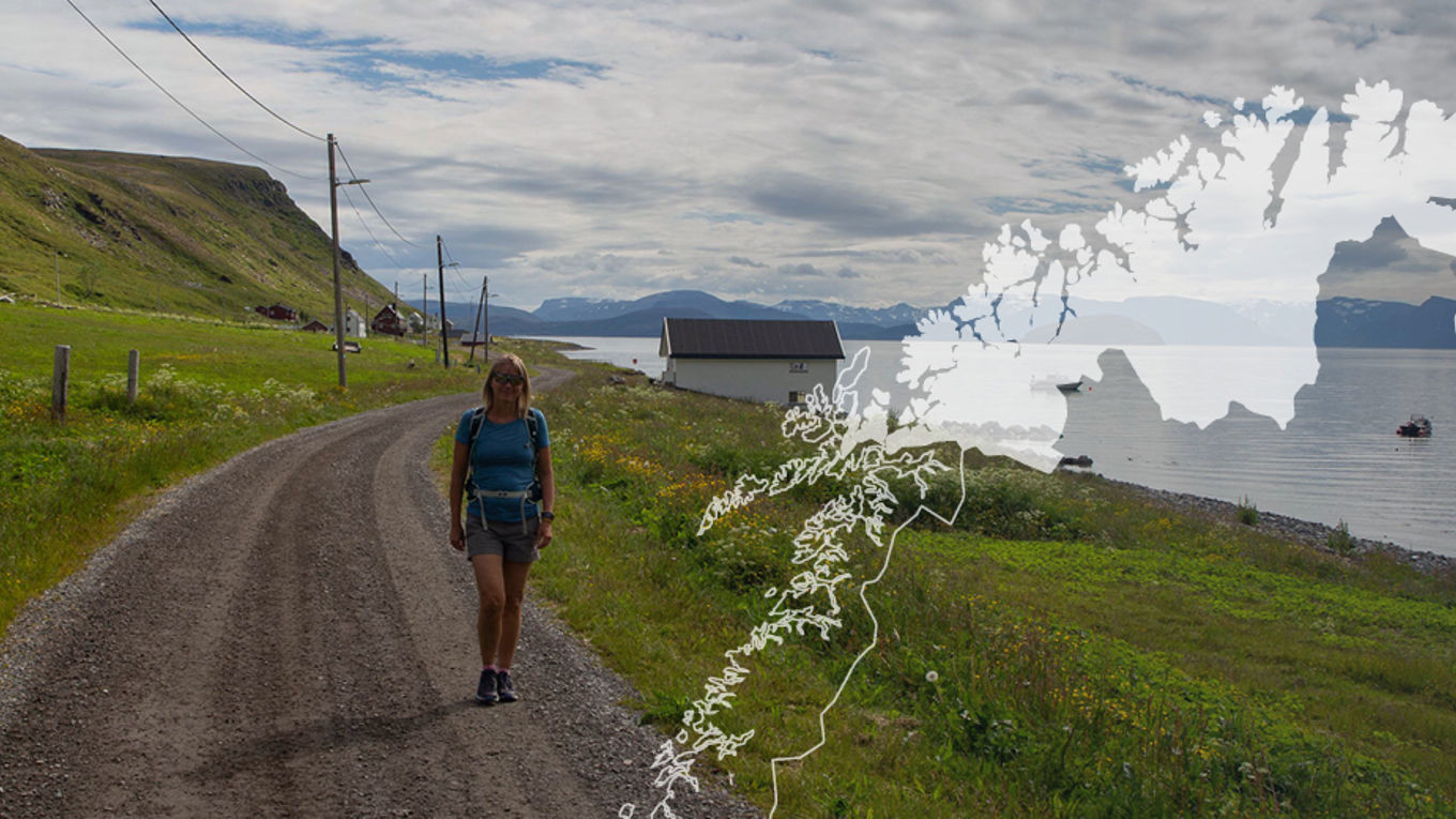 Illustrasjon av distriktsavdelingen Troms og Finnmark over et landskapsbilde