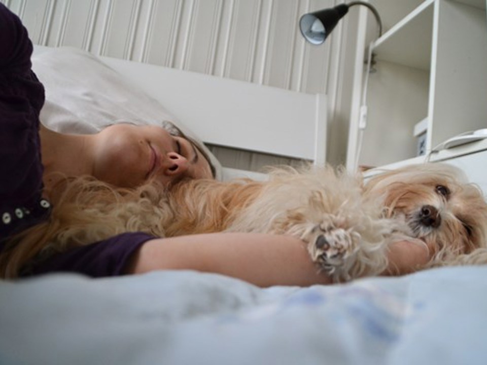 VARMT OG GODT: Lisa Lang trives godt med å ha begge hundene sine i senga. Foto: Privat