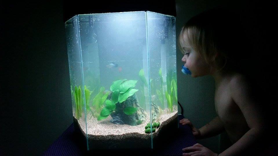 Marlen Wollfs datter er like fascinert av akvarier som sin mor. Foto: Marlen Wollf