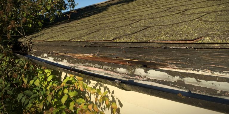 TAK: Det er lurt å sjekke taket for eventuelle skader før høstværet og vinteren slår skikkelig inn. Foto: Newswire