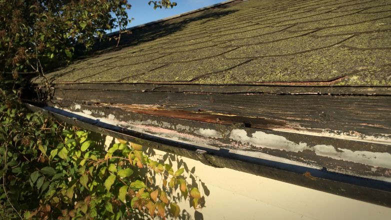 TAK: Det er lurt å sjekke taket for eventuelle skader før høstværet og vinteren slår skikkelig inn. Foto: Newswire 