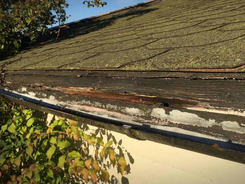 TAK: Det er lurt å sjekke taket for eventuelle skader før høstværet og vinteren slår skikkelig inn. Foto: Newswire