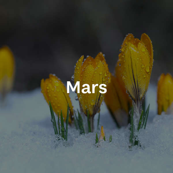 03 Mars_thumb.jpg